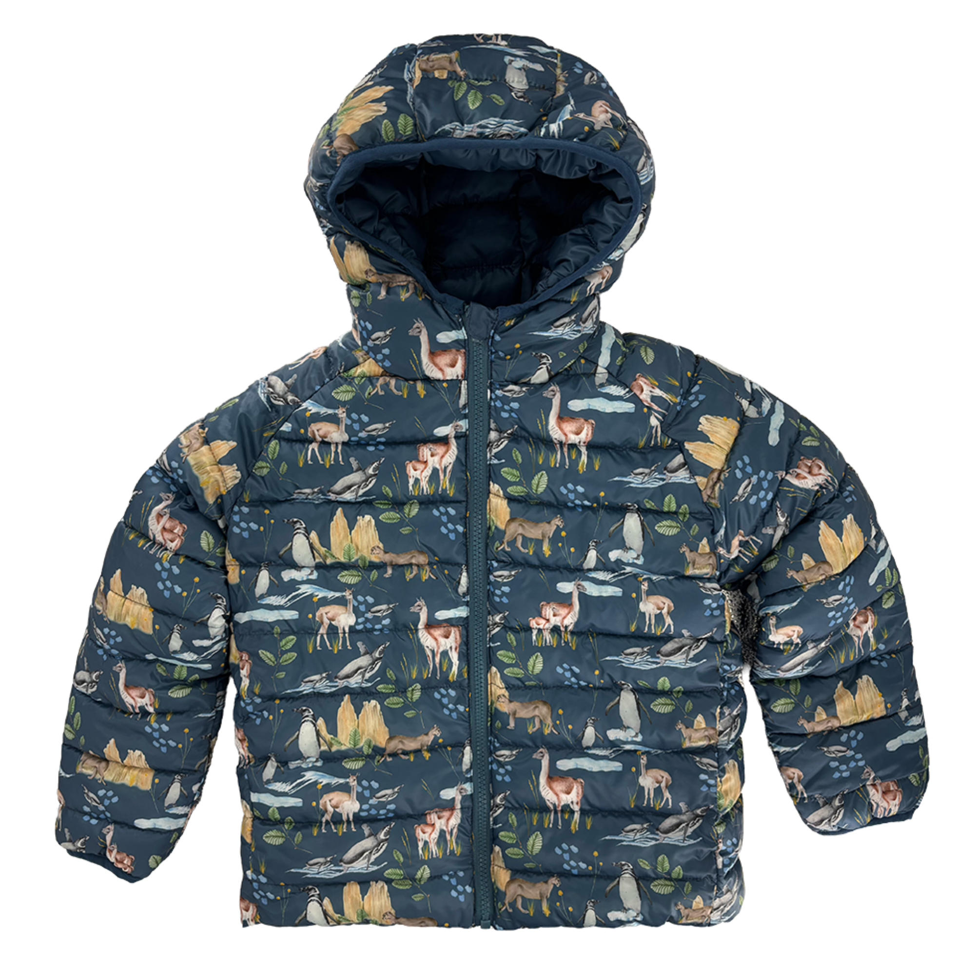 Parka Reversible Patagonia