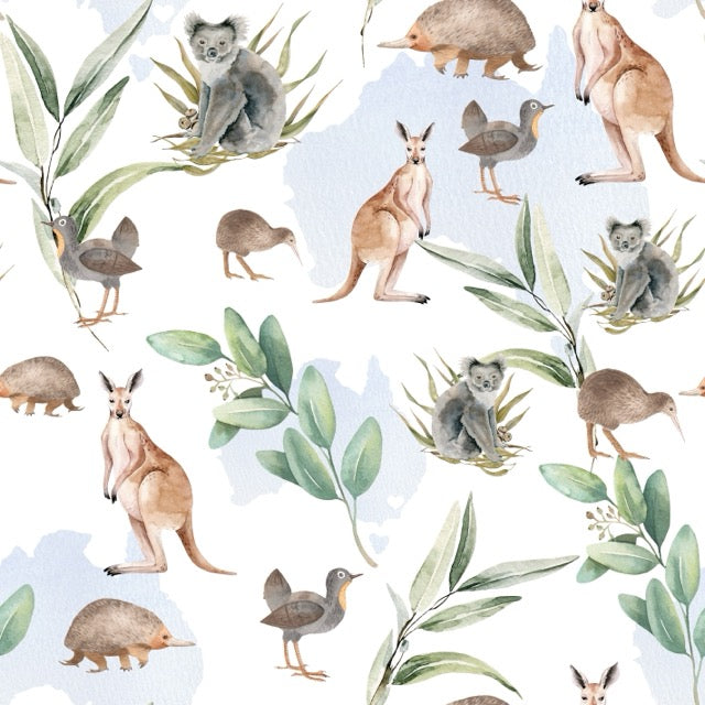 Gorrito Australia