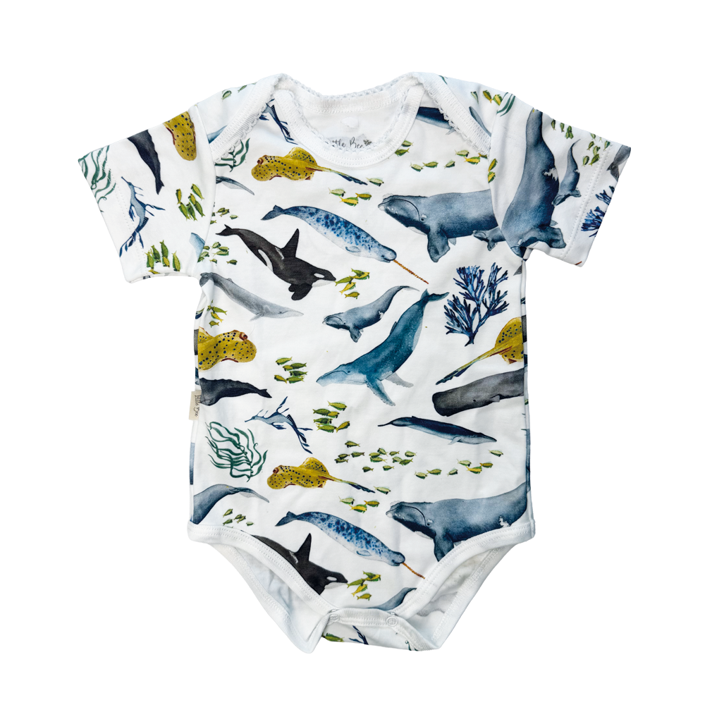 Body Manga Corta Stingray