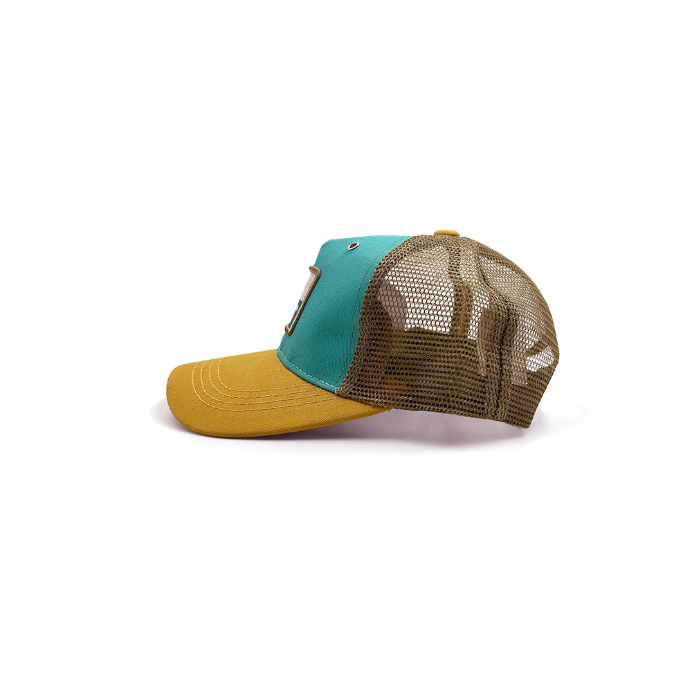 Jockey Turtles -PREVENTA